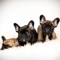 Spokane Veterinary Clinic