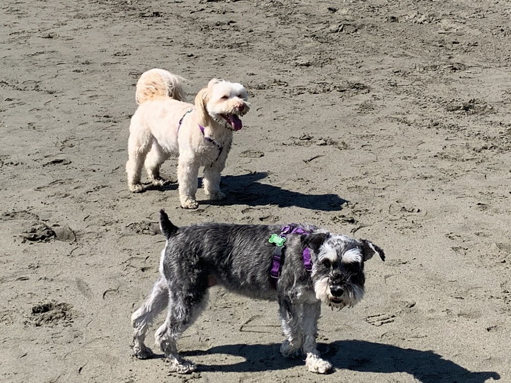 HERITAGE VETERINARY HOSPITAL Updated May 2024 58 Photos & 78