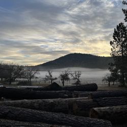 Northern California Vipassana Center - Kelseyville Center Surroundings