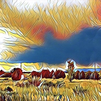 Text Art Print - The high Colorado desert - Printing Services Near Me