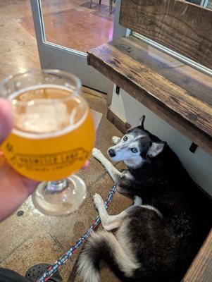 Promised Land Brewing Company by null