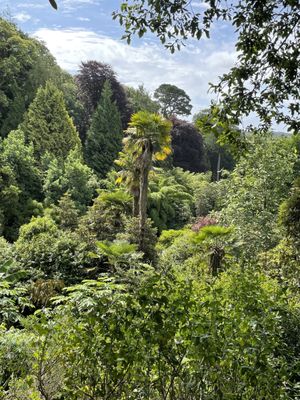 Trebah Garden by null