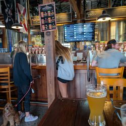 SaltWater Brewery - Extremely good selection of beers