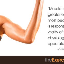 The Exercise Coach Littleton
