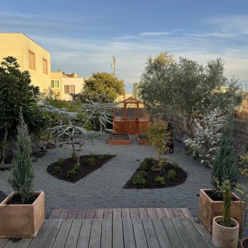 Liaison Landscapes - a backyard garden with a wooden deck - Landscape Architects or Designers Near Me - San Francisco, California