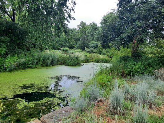 Anita B. Gorman Conservation Discovery Center by null