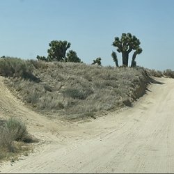 City Of Phelan - Dirt and cactus for days