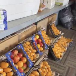 Fruteria R&R - Fresh Fruit