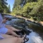 Photo of Little Luckiamute River Falls