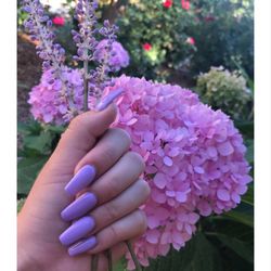 Lavender gel