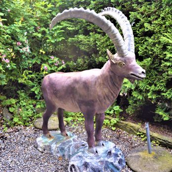 Hotel-Restaurant Steinbock - Mr. Steinbock - Restaurants Near Me - Lauterbrunnen, BE