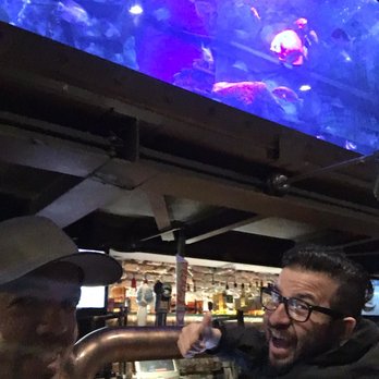 Dive Bar - Dive Bars Near Me - Sacramento, California Dive Bar - Dive Bars Near Me - Sacramento, California