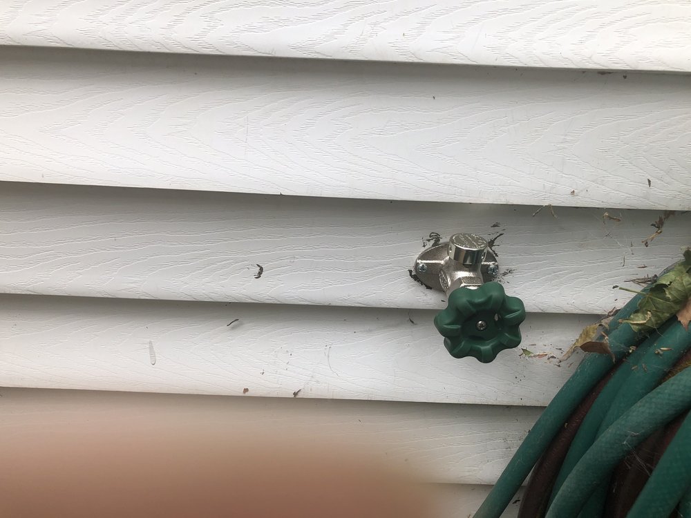 Slide of Call The Bee