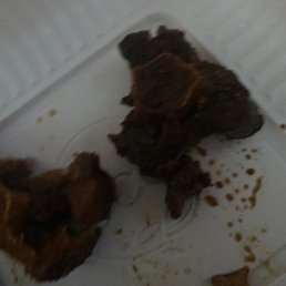 the Oxtail being not cooked with lots of fat the Oxtail being not cooked with lots of fat