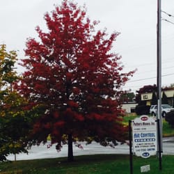 Patton’s Movers - Movers - 160 Imboden Dr, Winchester, VA - Phone