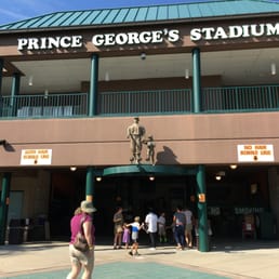 Bobblection Day at Prince George's Stadium