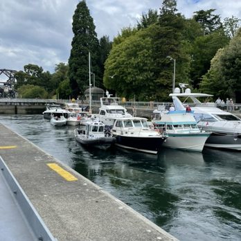 Shutter Tours - Ballard Locks - boats waiting to go through - Tours Near Me - Seattle, Washington