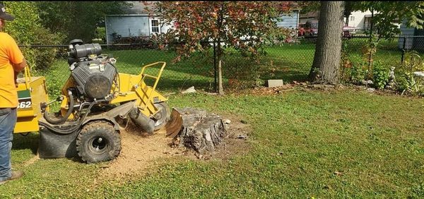 Warbucks Land Clearing & Excavating by null