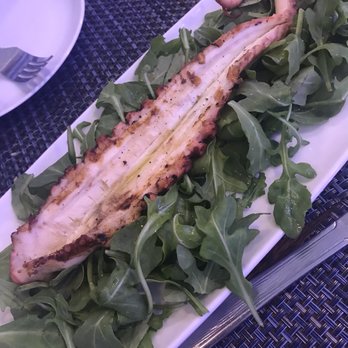 Kephi Greek Kitchen - Greek Near Me - Williamsburg, Virginia