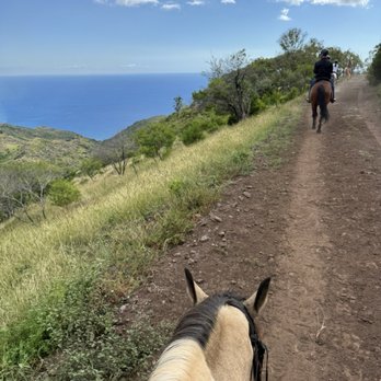Pālehua Trail Rides - Horseback Riding Near Me - Kapolei, Hawaii Pālehua Trail Rides - Horseback Riding Near Me - Kapolei, Hawaii