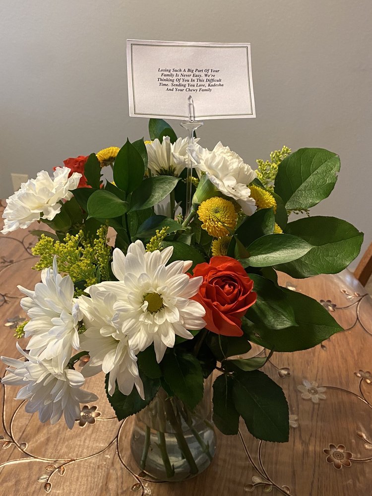 CHEWY 41 Photos & 114 Reviews 3251 Hollywood Blvd, Hollywood, Florida Pet Stores Phone