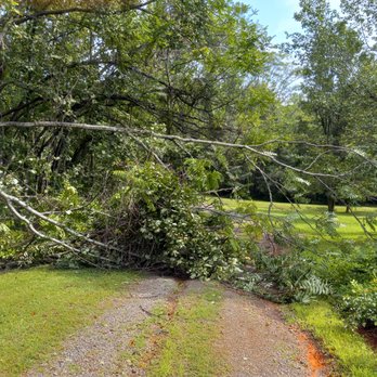 Mendez Tree Service - We could not leave because the driveway was blocked. Jose and his crew saved the day. Great company! - Tree Services Near Me Mendez Tree Service - We could not leave because the driveway was blocked. Jose and his crew saved the day. Great company! - Tree Services Near Me