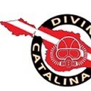 Diving Catalina - Scuba Diving Near Me - Avalon, California Diving Catalina - Scuba Diving Near Me - Avalon, California