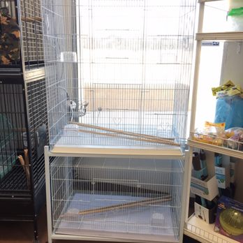 Gaby's pet sales - Pet Stores Near Me - Fontana, California Gaby's pet sales - Pet Stores Near Me - Fontana, California