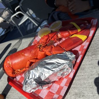 James Hook & Co - 2 LB Lobster - Seafood Near Me - Boston, Massachusetts