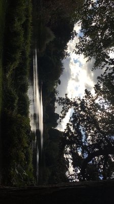 National Trust - Mount Stewart by null