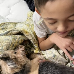 Five Star Veterinary Center - My son was so sad last night.