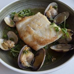 Halibut Halibut
