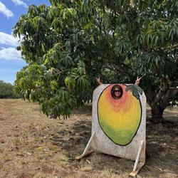 Mango Farm