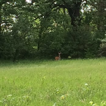 Johnson Sauk Trail State Park - Lots of wildlife - Parks Near Me - Kewanee, Illinois