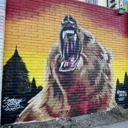 Bear