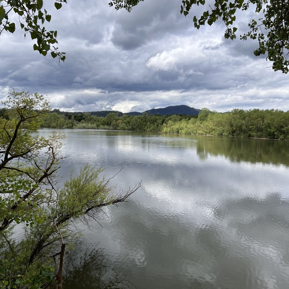 Riverfront Regional Park - Parks Near Me - Healdsburg, California