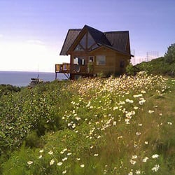 Alaska Adventure Cabins - Dovetail Log Cabin