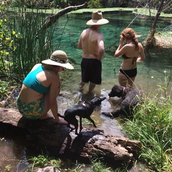 Fossil Creek Wilderness - Even the dogs enjoyed the cool water after a long, hot hike! - Hiking Near Me - Strawberry, Arizona