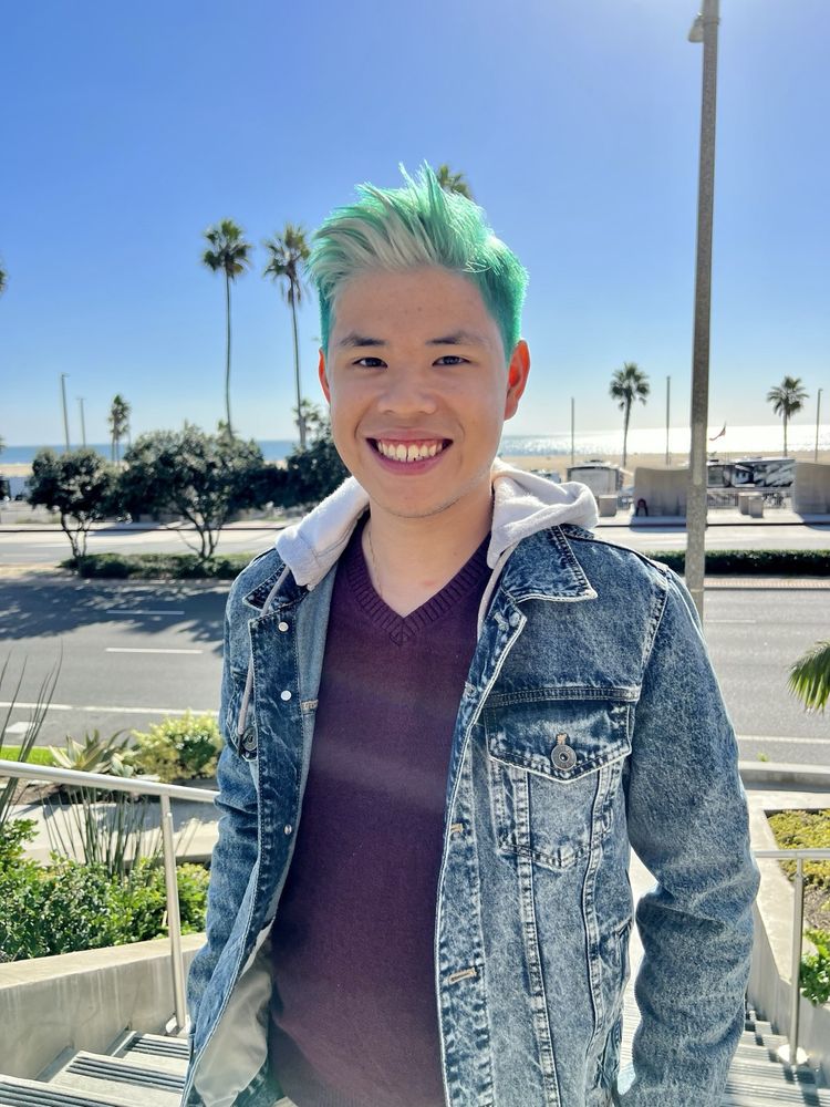 Nancy Vo Logo