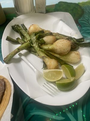 Coyotes Restaurant by null