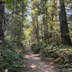West Tiger 3