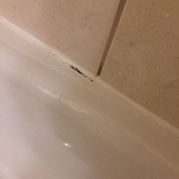 Days Inn - Black mould - Hotels Near Me - Hamilton, Ontario