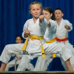 Best Martial Arts Institute - Karate for Kids