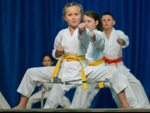 Best Martial Arts Institute Logo