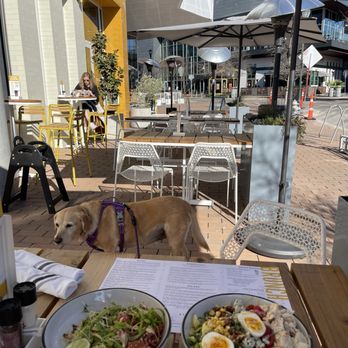 Dish Society - Dog friendly outdoor patio! - Southern Near Me - Austin, Texas