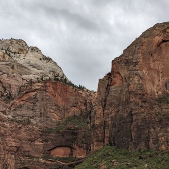 Zion Lodge - Canyon walls viewed from lodge area. - Hotels Near Me - Springdale, Utah Zion Lodge - Canyon walls viewed from lodge area. - Hotels Near Me - Springdale, Utah