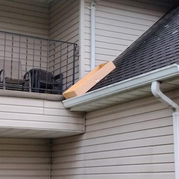 The Arborist Advocates - They took dresser drawers and threw on roof - Tree Services Near Me