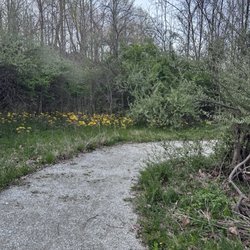 Sargent Road Nature Park - Beautiful trail claims about a 20 minute walk