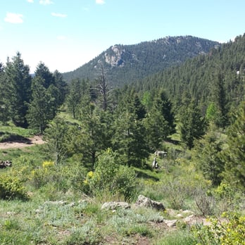 Elk Meadow Park - Dog Parks Near Me - Evergreen, Colorado
