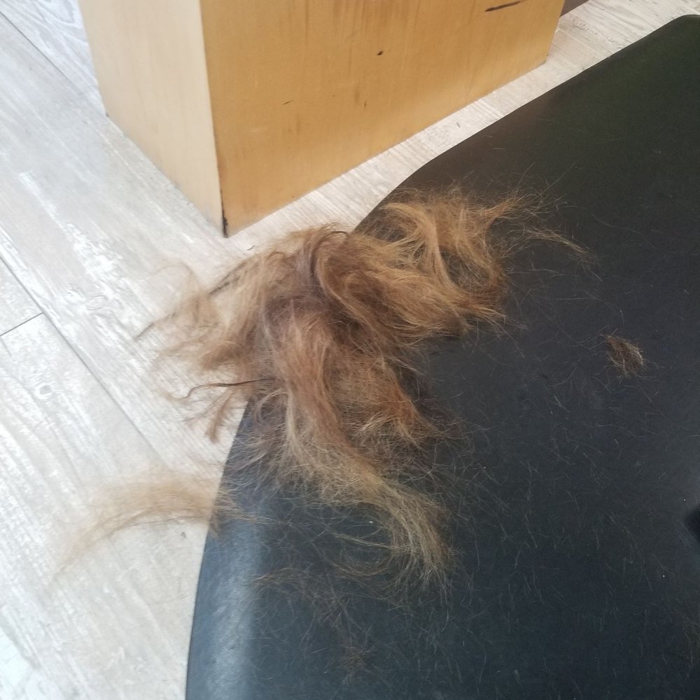 Bye bye dry hair‍‍‍